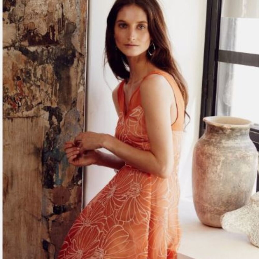 NWT Anthropologie Calendula Dress by Moulinette Soeurs,! Sz 10! $228